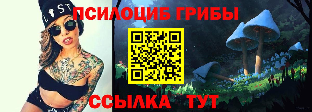 Гудермес  Галлюциногенные грибы MAGIC MUSHROOMS  Вход с VPN 